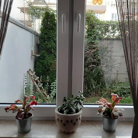 브로츠와프 Apartament Di Trevi - Klimatyzacja 아파트 외부 사진
